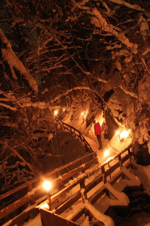 Chalet Sunnseitn رادستادت المظهر الخارجي الصورة
